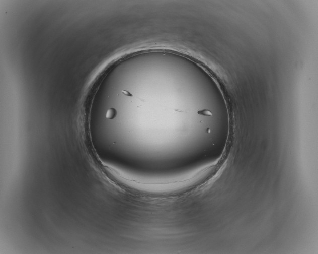 X0000111811502200908061105