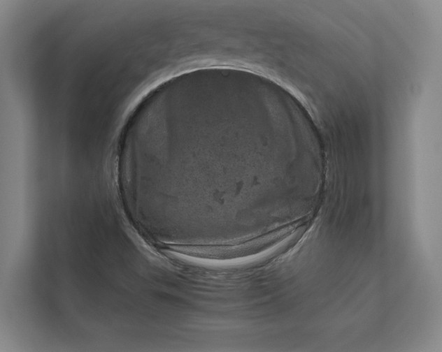 X0000111811503200908061105