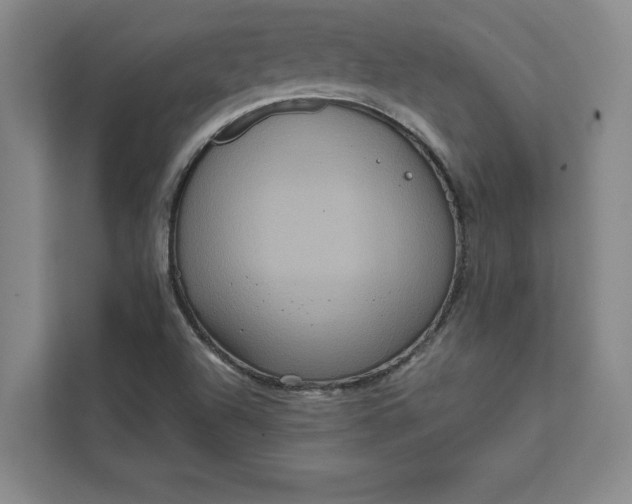 X0000111811504200908061105