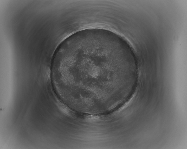 X0000111811505200908061105