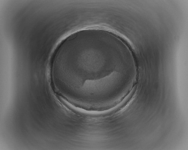 X0000111811506200908061105