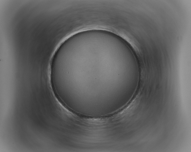 X0000111811508200908061105