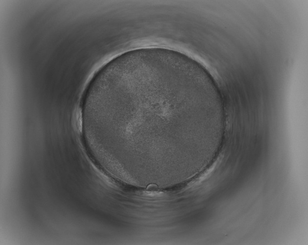 X0000111811509200908061105