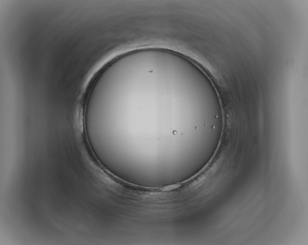 X0000111811510200908061105