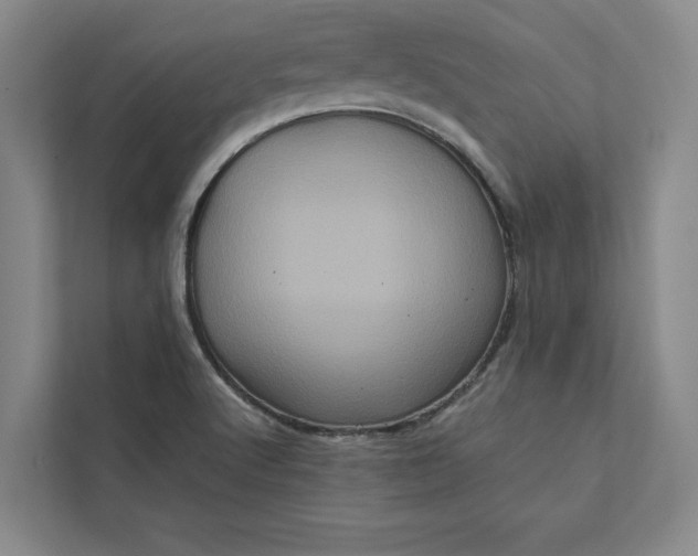 X0000111811512200908061105