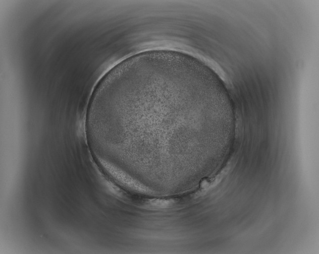 X0000111811513200908061105