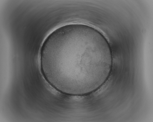 X0000111811514200908061105