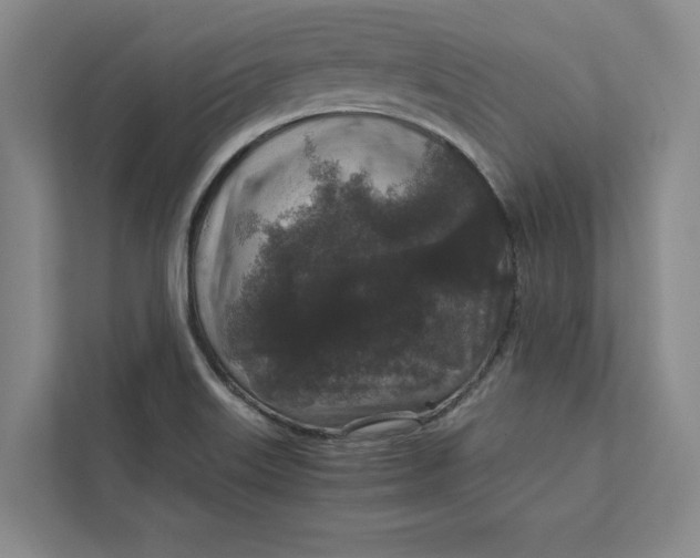 X0000111811515200908061105