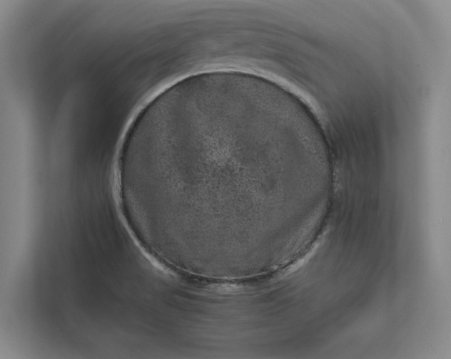 X0000111811517200908061105
