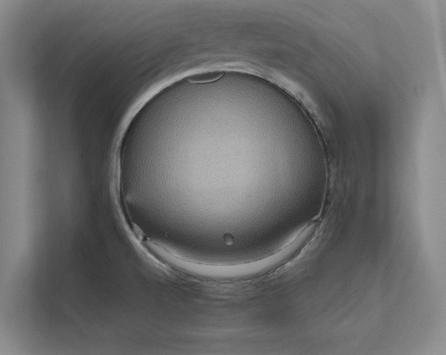 X0000111811520200908061105