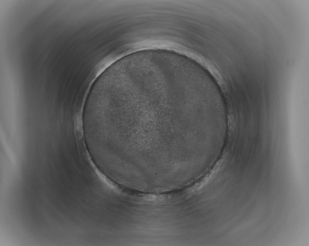 X0000111811521200908061105