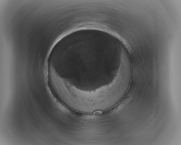 X0000111811522200908061105