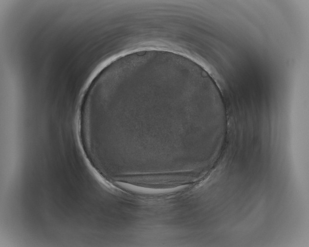 X0000111811523200908061105