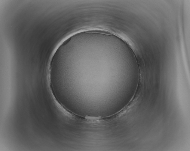X0000111811524200908061105