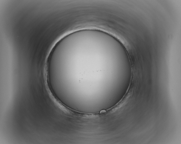 X0000111811526200908061105