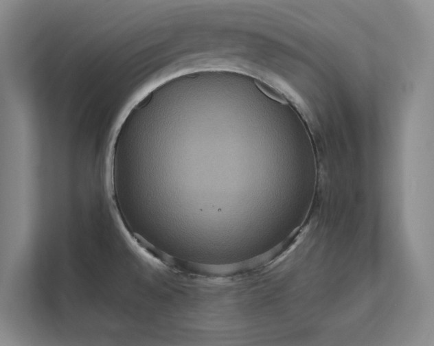 X0000111811528200908061105