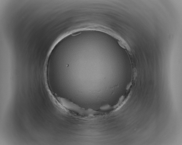 X0000111811530200908061105
