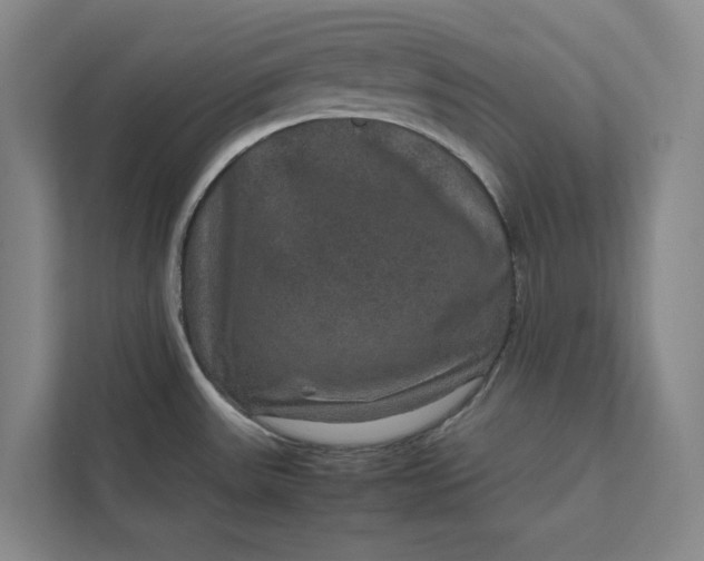 X0000111811531200908061105