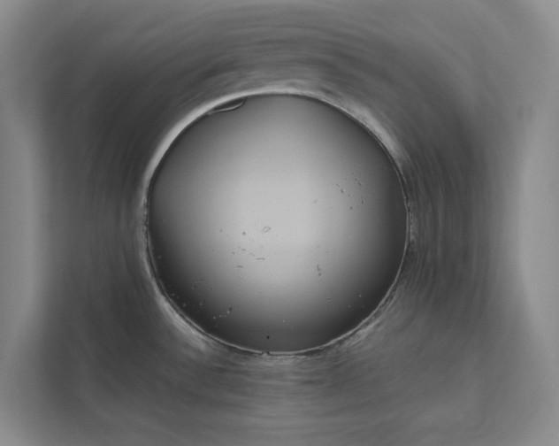 X0000111811532200908061105