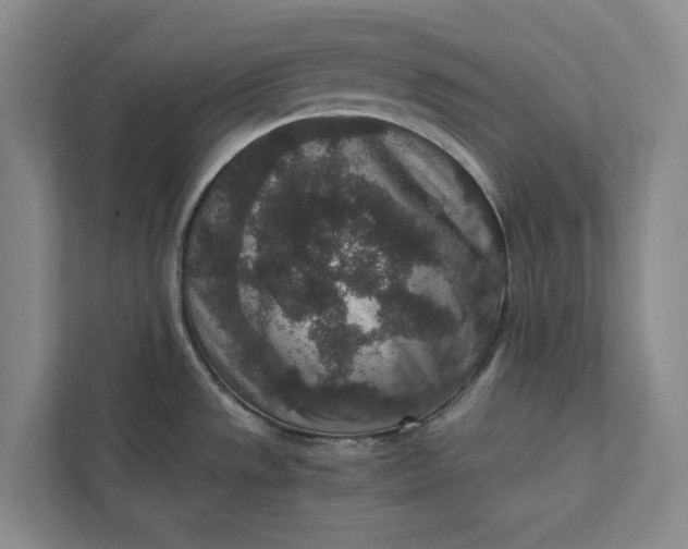 X0000111811533200908061105