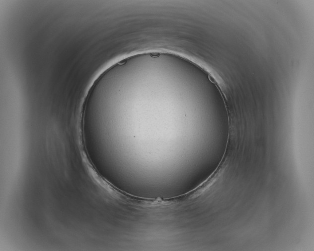 X0000111811534200908061105