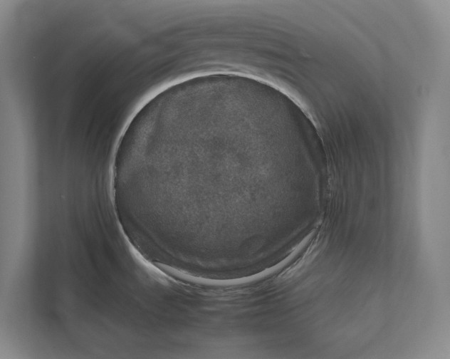 X0000111811535200908061105