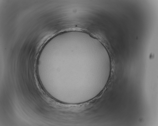 X0000111810001200908131510