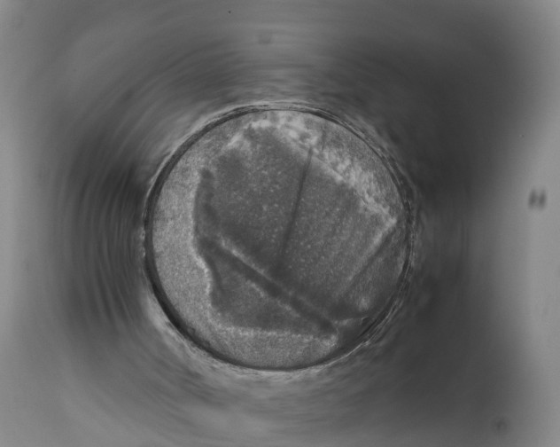 X0000111810002200908131510