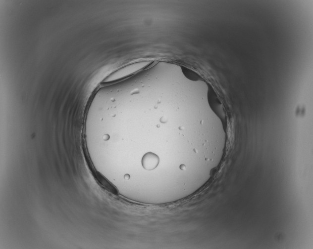 X0000111810003200908131510