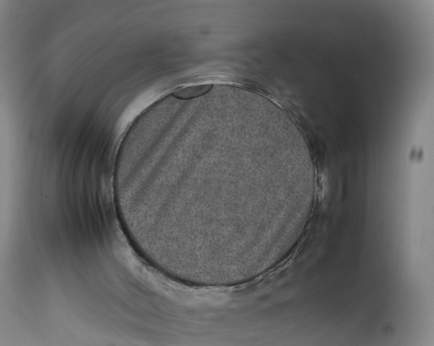 X0000111810004200908131510