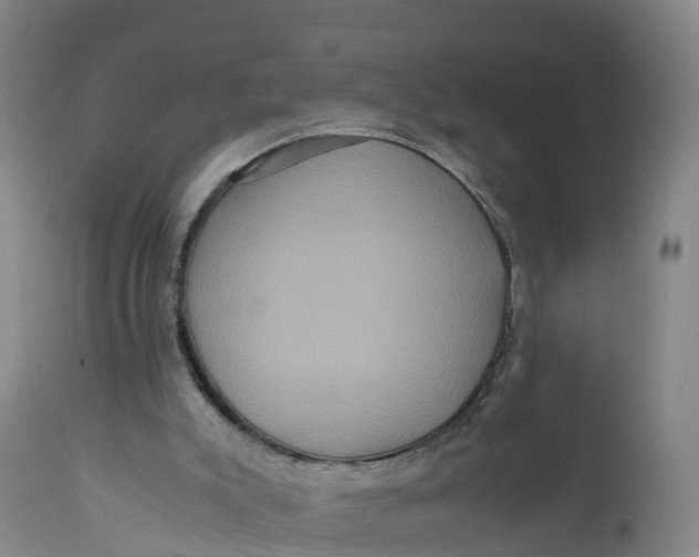 X0000111810007200908131510