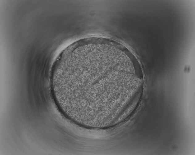 X0000111810008200908131510