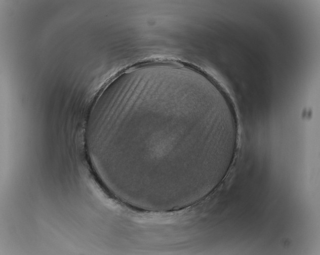 X0000111810009200908131510