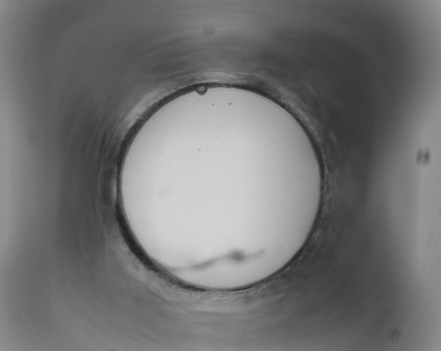 X0000111810011200908131510