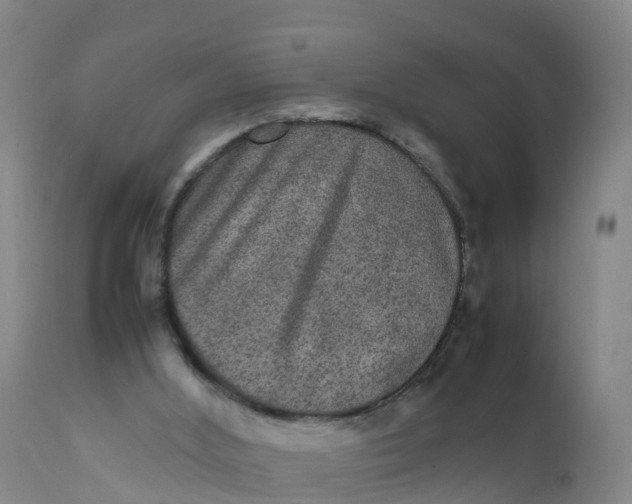 X0000111810012200908131510