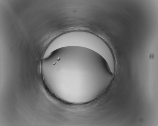 X0000111810013200908131510