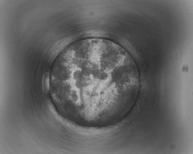 X0000111810014200908131510