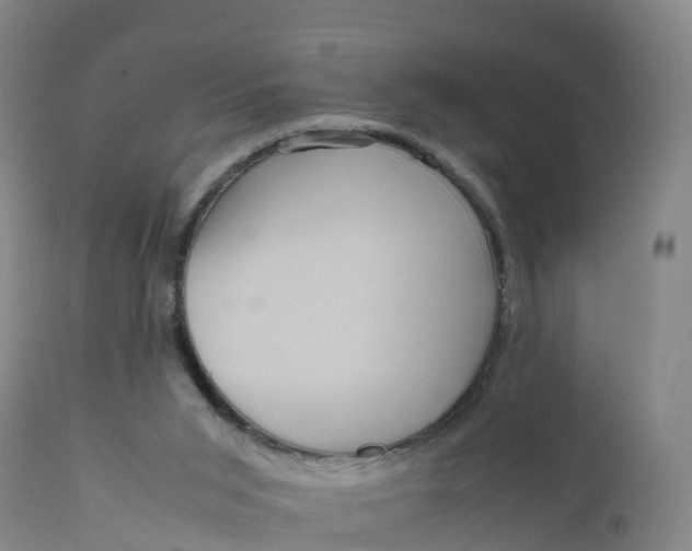 X0000111810015200908131510