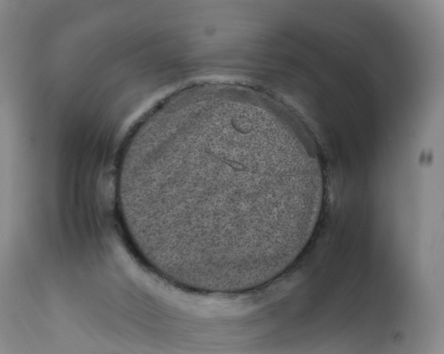 X0000111810016200908131510
