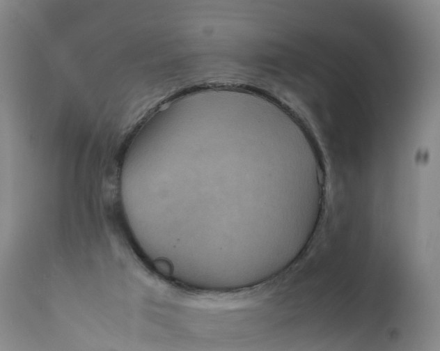 X0000111810017200908131509