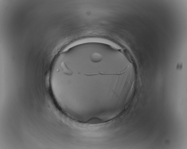 X0000111810019200908131509