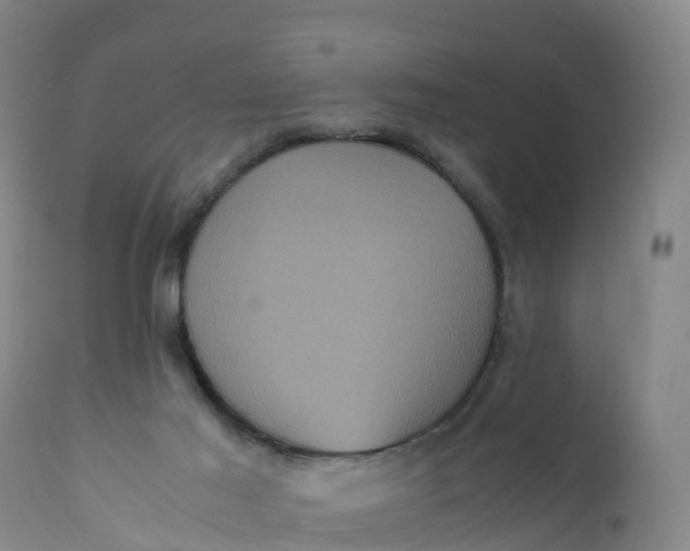 X0000111810021200908131509