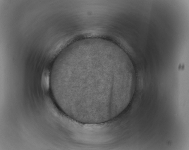 X0000111810022200908131509