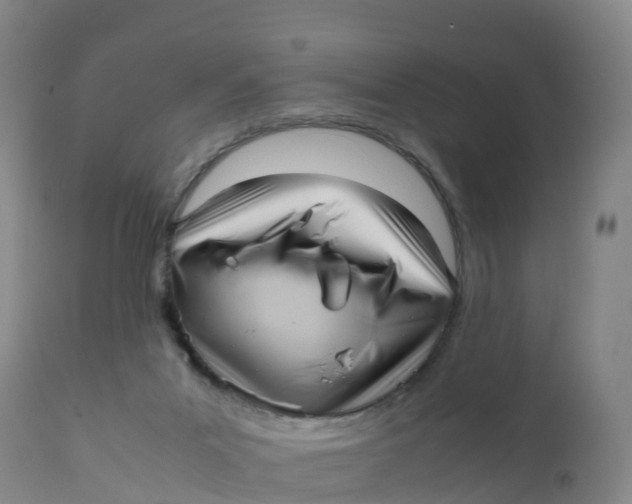 X0000111810023200908131509