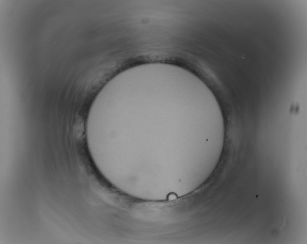 X0000111810025200908131509