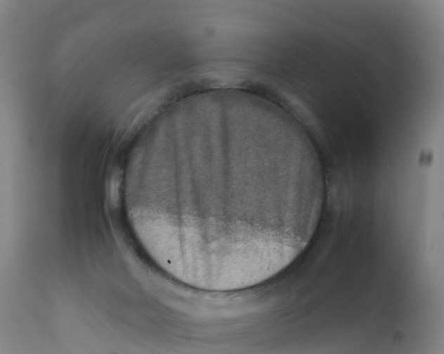 X0000111810026200908131509