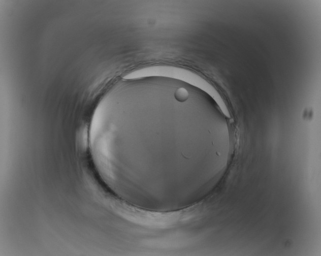 X0000111810027200908131509