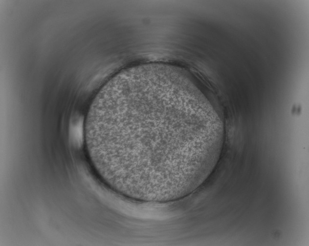 X0000111810028200908131509