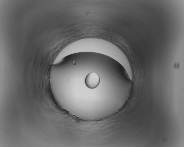 X0000111810029200908131509