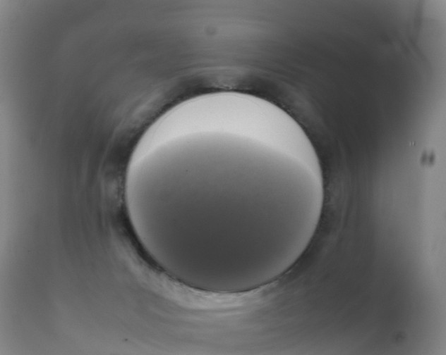 X0000111810031200908131509